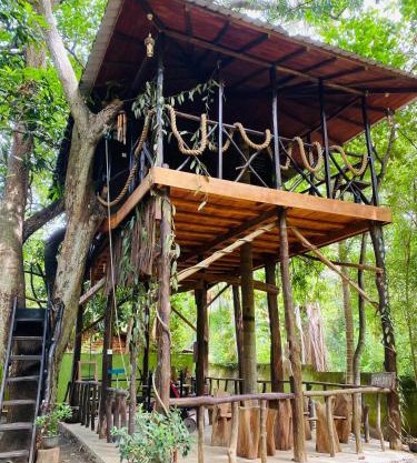 Green Park and Eco Tree House