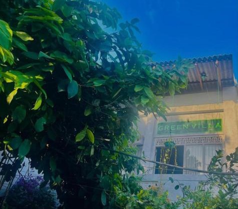 Green Villa