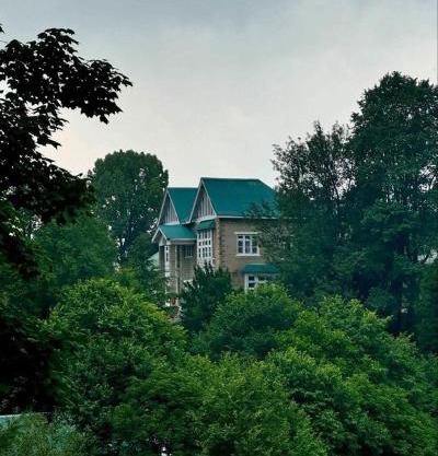 Green wood cottage
