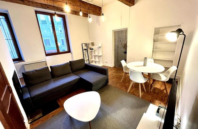 Grenoble Hypercentre - Appartement vieille ville - Wifi