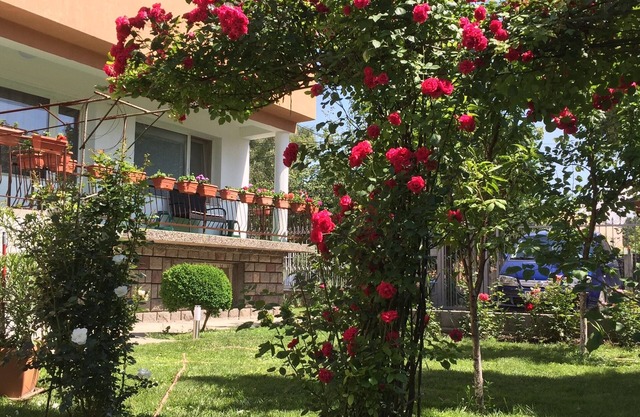 Guest House "Aleksandra"