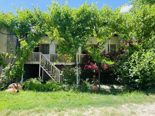 Guest House Aleksandre