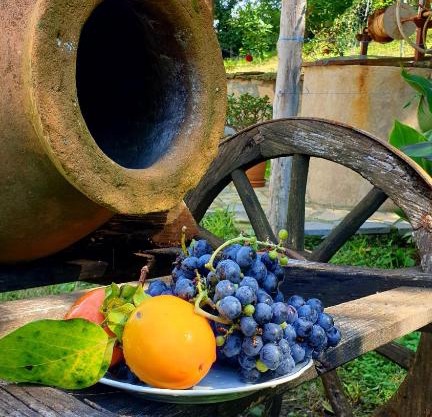 Guest House Godogani