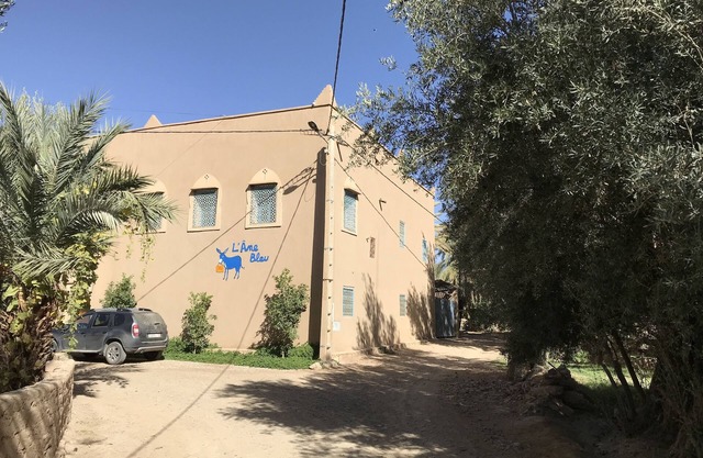 Guest house in palm grove