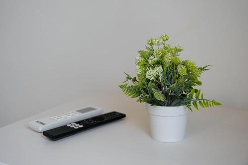 GuestReady - Practical city hideout in Gaia (C)