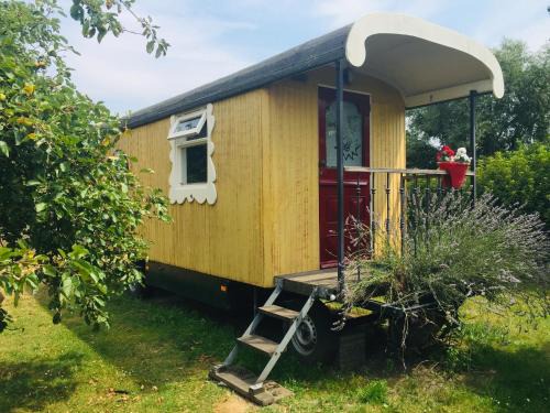 Gypsy Caravan in Weideblick with Farm Animals