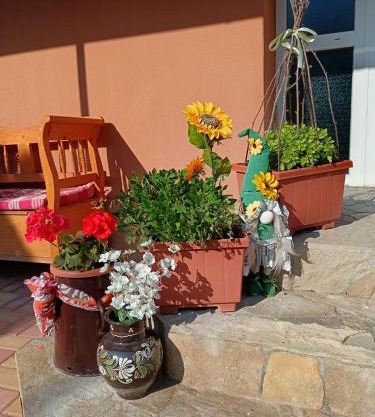 Hársfa apartman