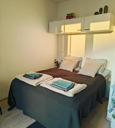 Härmälän Kotoisa - valoisa yksiö - free parking & wifi