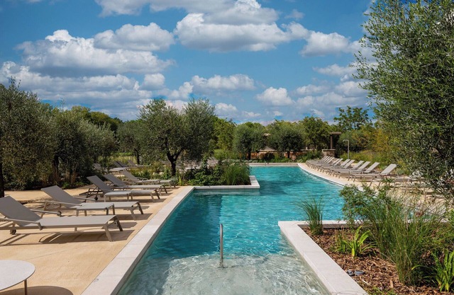 Hôtel Horizon Resort Massane & Spa