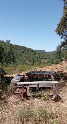 Hamacs Carbounieros