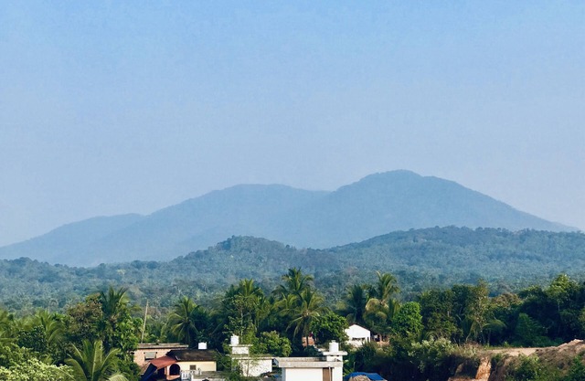 HANNA HOMESTAY Our place is full of nature