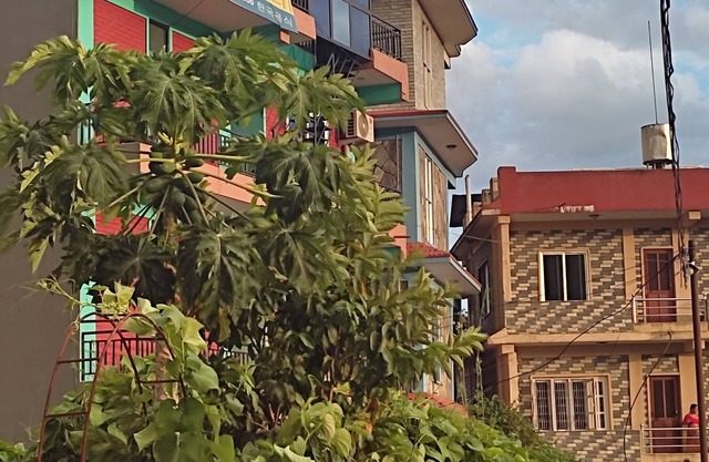 Harry Guest House & Restaurant