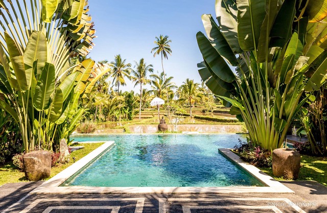 Hati Padi Cottages
