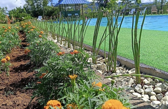 Helens Mountain Resort