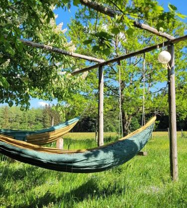 Helles Landhaus auf Waldlichtung