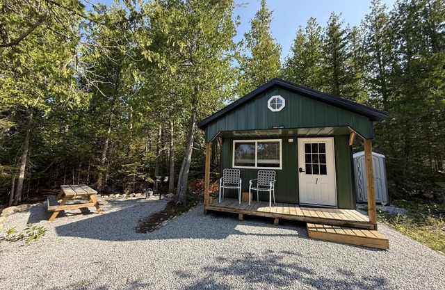 Henry's Cabin - Johnswood Off Grid Cabins on Drummond Island