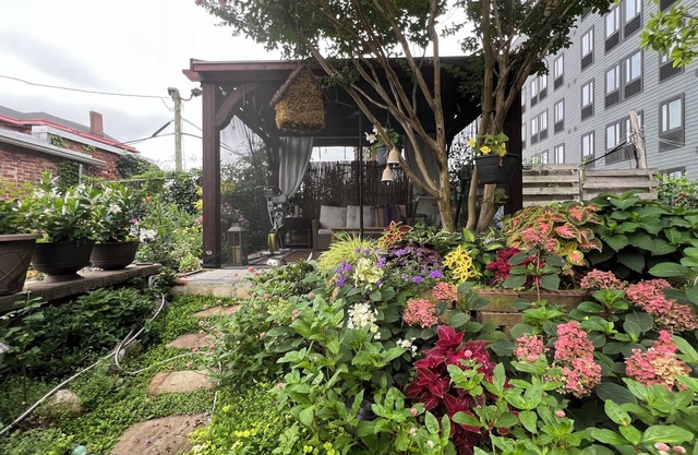 Hidden Gem Townhome with 2 BRs -University City -near UPenn&Drexel