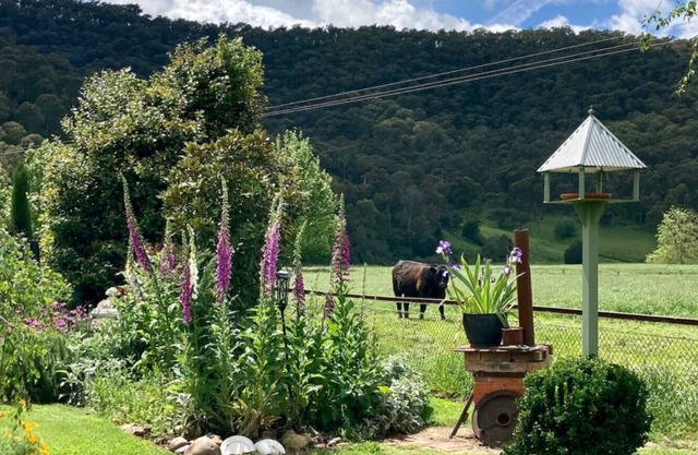 “Hideaway Cottage” Breakfast & Farmstay in Eskdale.