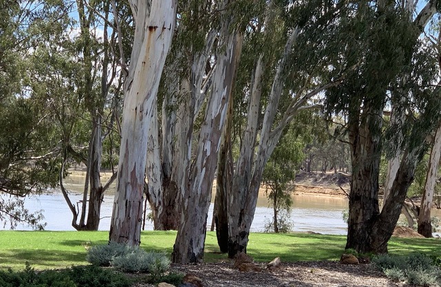 Highview Waters Resort Moama , overlooking the Murray River a premier property.