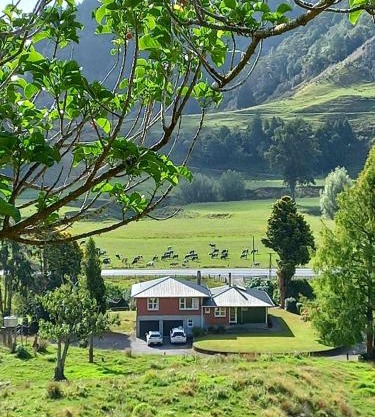 Hill top view farm stay