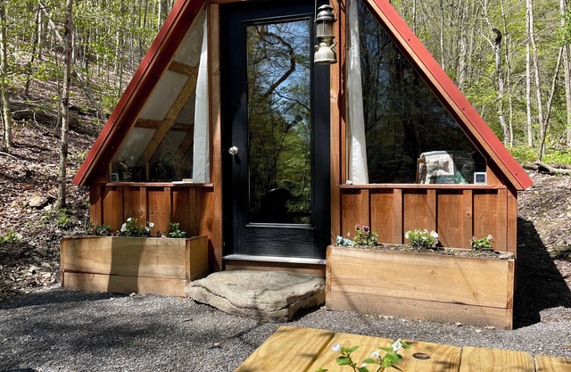 Hillside: Cozy offgrid cabin near Cooperstown, NY