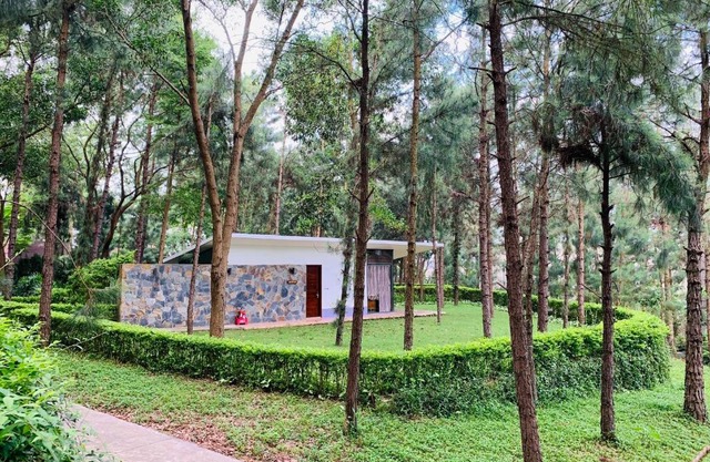 Hilltop Đại Lải H230 Villa