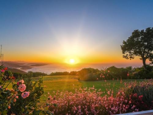 Hilltop Boutique Hotel