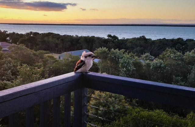 Hilltop Haven Loch Sport - 180 Degree view of Lake Victoria