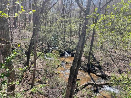 Hilltop Haven w/Creek&Waterfall Dntwn McCaysville