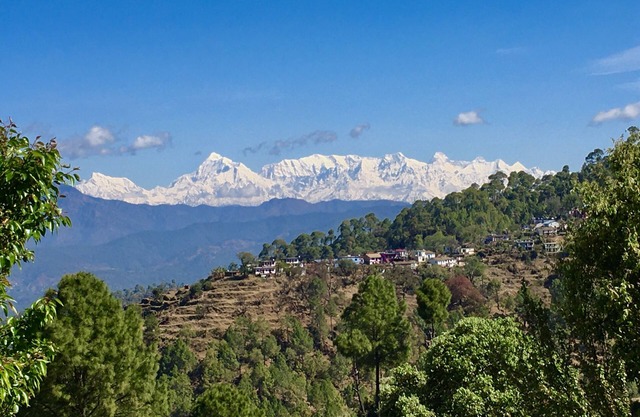 Himalaya View