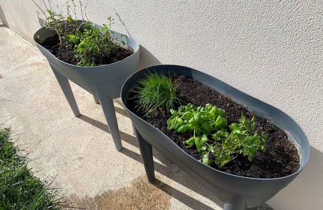 HISTOIRE D'Ô - LES PISCINES