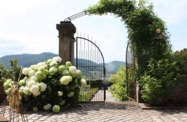 Historic Gîte with Forest Views, Near Alsace, Perfect for Couples