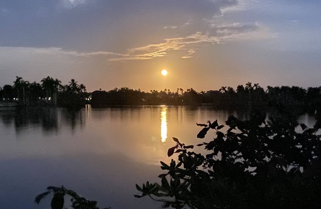 Hobe Sound Waterfront Gem ~ Private Dock and Boat Launch ~ 3 min to the beach!