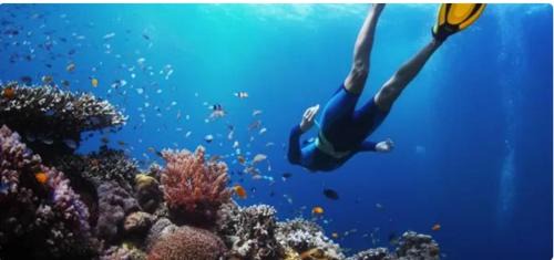 Hofberd Beach Resort