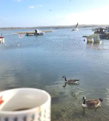 Holes Bay Nature Reserve, Poole, right next to the Water
