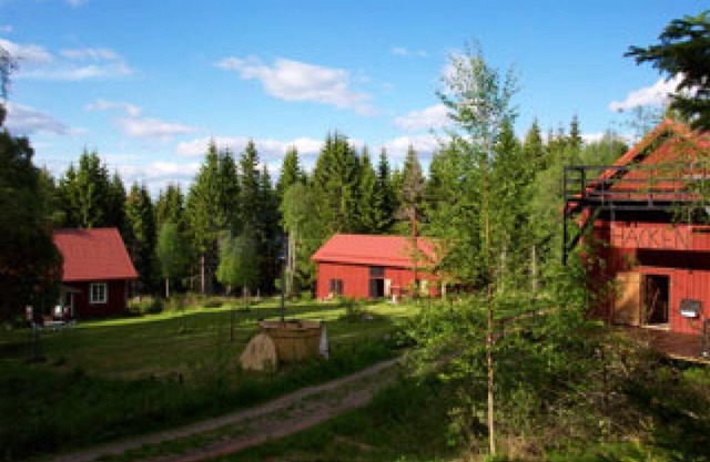 Holiday accommodation in the middle of the forest in an absolutely secluded location