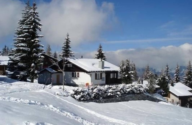 Holiday apartment Axalp for 1 - 4 persons with 2 bedrooms - Chalet