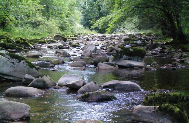 Holiday apartment Baiersbronn for 2 persons with 1 bedroom - Holiday apartment