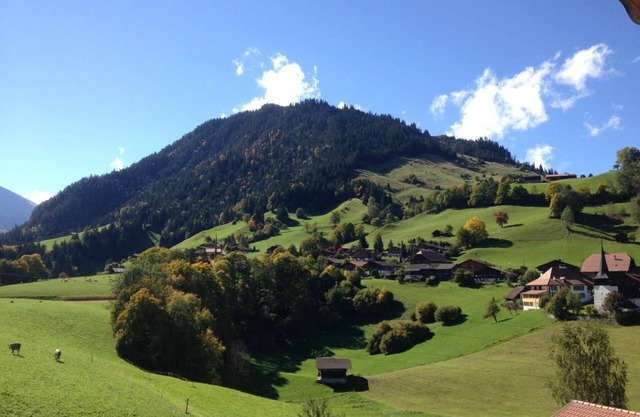 Holiday apartment Diemtigen for 1 - 6 persons with 3 bedrooms - Farmhouse