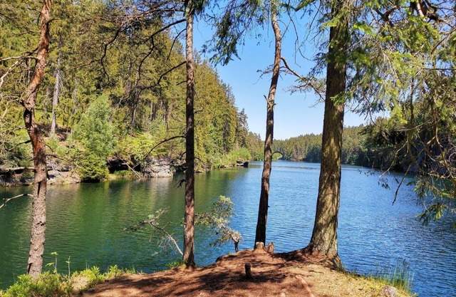 Holiday apartment Gehlberg for 1 - 10 persons with 6 bedrooms - Holiday apartment in one or multi-fa