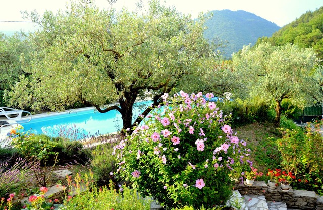 Holiday apartment in the hills behind Nyons f 2 Pers., Pool, with beautiful view
