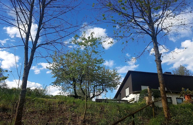 Holiday Apartment 'Sauerland Alm Winterberg' with Private Pool, Private Terrace and Wi-Fi