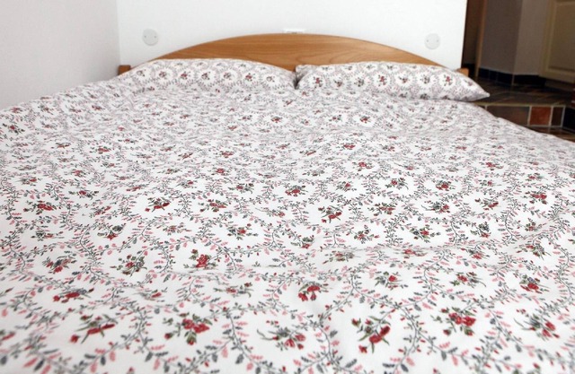 Holiday apartment Stanjel for 1 - 3 persons - Castle