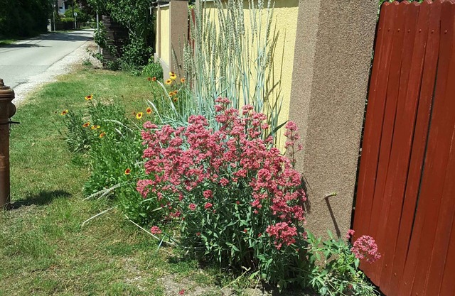 Holiday apartment with grill and garden pavilion