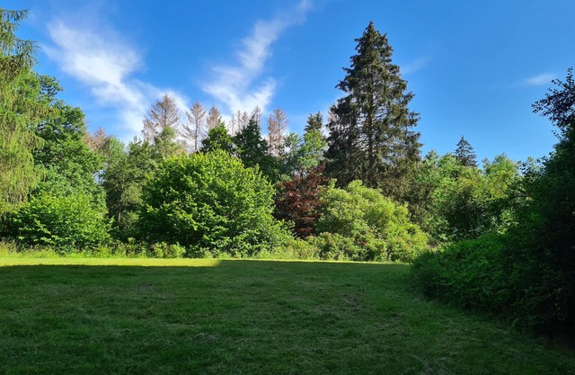 HOLIDAY FLAT AT THE TROUT PARK IN THE SAUERLAND IN BRILON