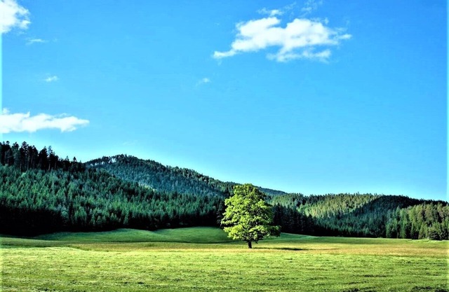Holiday house Höblinghof