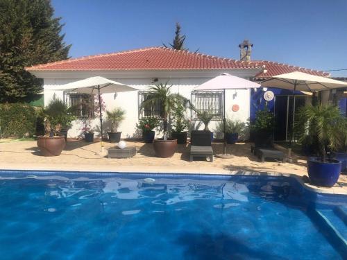 Holiday Home in Albox with Pool