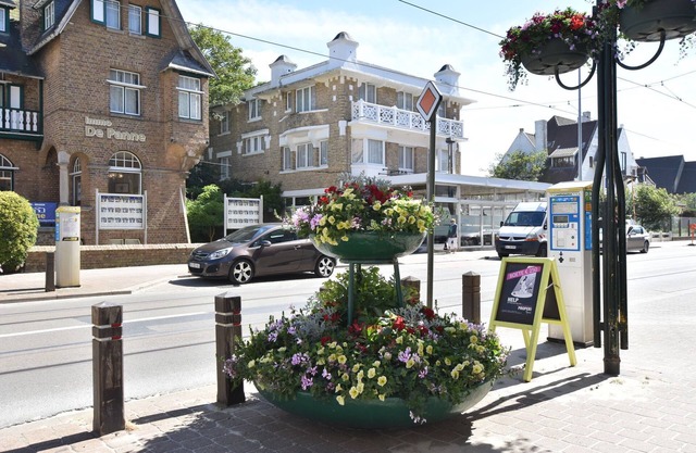Holiday Home in De Panne near Beach