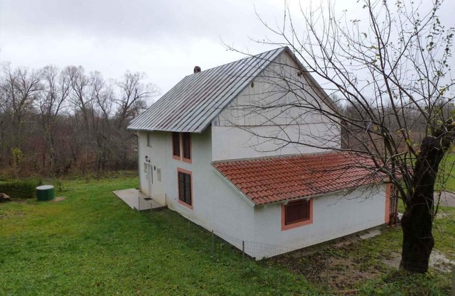 Holiday home in Trnovac 17132