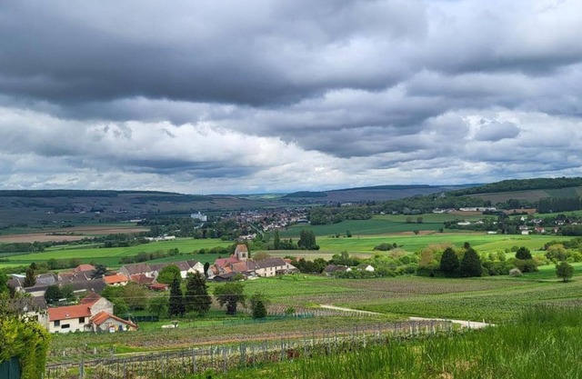 Holiday Home 'Le Coq De Champagne' with Mountain View, Wi-Fi and Air Conditioning